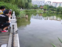 -北湖公园