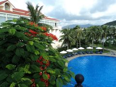 -三亚亚龙湾金棕榈度假酒店