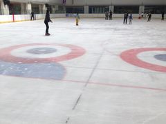 -炫采冰场(红博中央公园商场店)