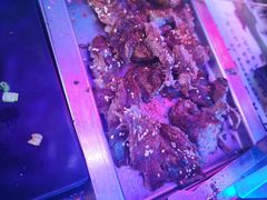 -大漠狼来了碳烤羊腿(上海直营总店)
