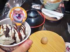 -逗柴咖啡屋·狗咖猫咖宠物桌游