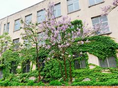 -JF Garden(渔人码头店)