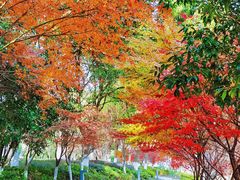 -白马涧龙池景区