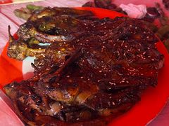 -周记老沈阳焦火鸡架
