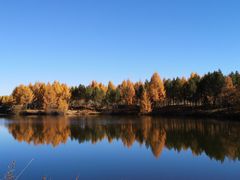 -塞罕坝国家级自然保护区