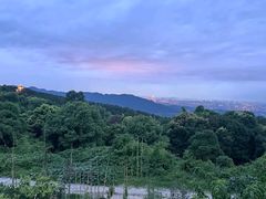 -金水泊山庄·花椒鸡(铁山坪店)