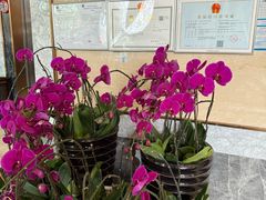 -玉雪春天(中正花园店)