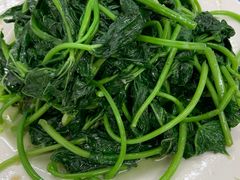 -老杨饭店(万科里店)