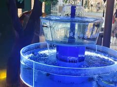 -佬麻雀·剁椒鱼头(京基KK One店)