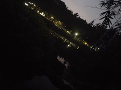 -晓港公园