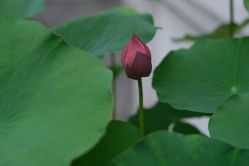 -保丽宝泰母婴护理院·月子中心·产康·中医(常州店)