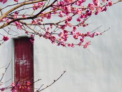 -苏州文庙(姑苏区)