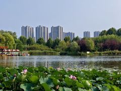 -郑州植物园