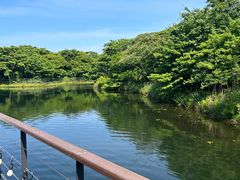 -济州森林小火车生态公园