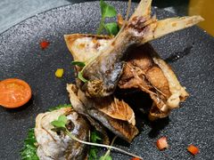 -望乡楼上海菜(日月光店)