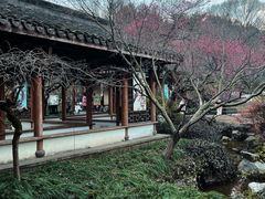 -杭州植物园
