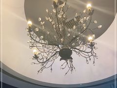 -陈记顺和潮汕牛肉火锅(番禺迎宾大道店)