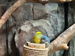 -正佳雨林生态植物园