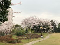 -河海大学(江宁校区)