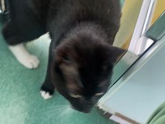 -东方动物医院·宠保定点·骨科·转诊中心(春城路·昆明站分院)