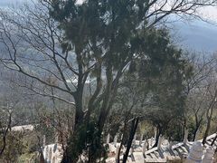 -句容茅山景区