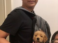 -霄汉羊排(万松园一店)