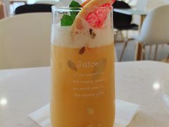-飞行喵MR PILOT|猫舍·猫咖(静安大融城店)