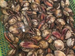 -和源祥·日照菜扛把子(万平口一店)