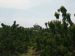 -河北村民俗体验园