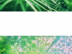 -西安国际创新人才交流中心•药浴温泉