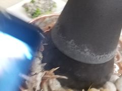 -徐记手切鲜羊肉(辽沈二街店)