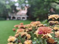 -马勒别墅饭店(静安寺店)