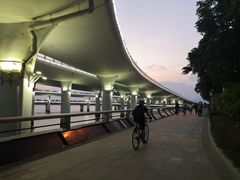 -演武大桥观景平台