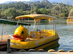 -星湖旅游景区七星岩