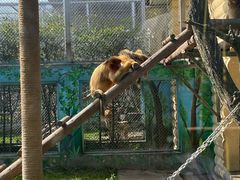 -西安秦岭野生动物园