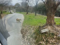 -西安秦岭野生动物园