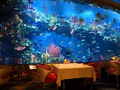 -迪拜帆船酒店海底餐厅