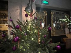 -Apollo·西班牙小酒馆(安福路店)