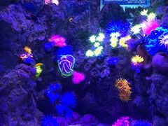 -成都浩海立方海洋公园