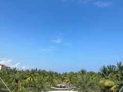 -三亚海棠湾喜来登度假酒店大堂吧