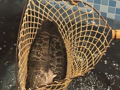 -九寨沟石锅鱼(沣峪口店)