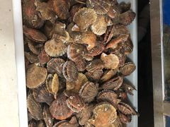 -宾朋海鲜特色美食餐厅·纯手工鲅鱼水饺(兴海路店)