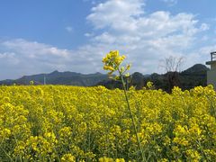 -新安江山水画廊风景区