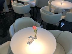 -BLACKSWAN黑天鹅(环球店)
