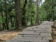 DSC03500-广州市流溪河国家森林公园