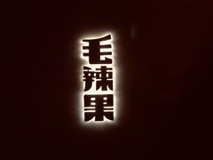 -毛辣果·酸