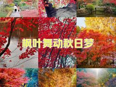 -秋霞圃