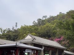 -鼎湖山风景区