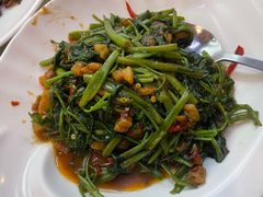 -新山亚明小厨