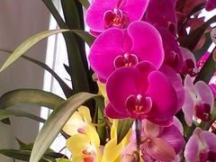 -永定河休闲森林公园